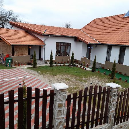 Pensiunea Narcisa Cu Ciubar Malaesti ภายนอก รูปภาพ