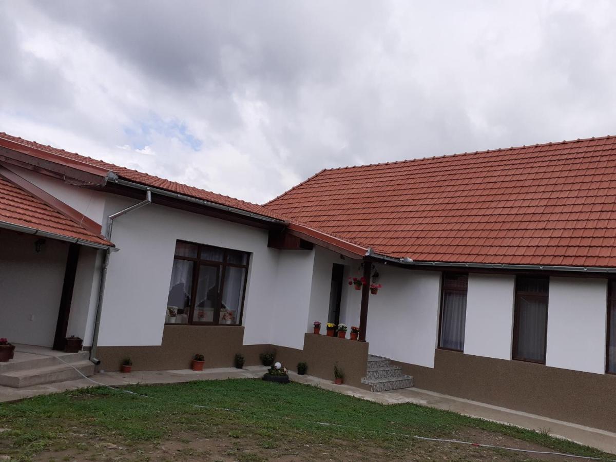 Pensiunea Narcisa Cu Ciubar Malaesti ภายนอก รูปภาพ