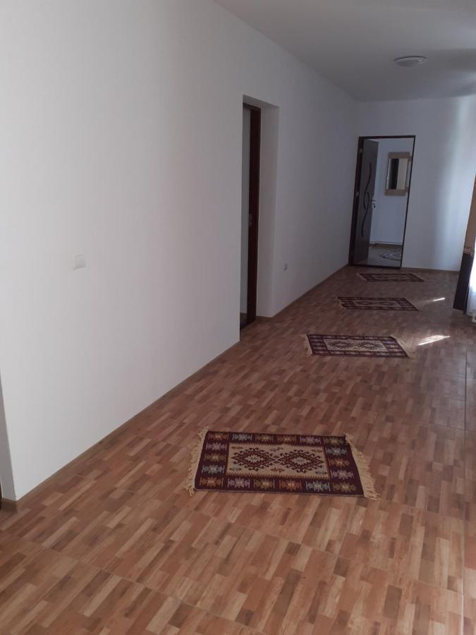 Pensiunea Narcisa Cu Ciubar Malaesti ภายนอก รูปภาพ