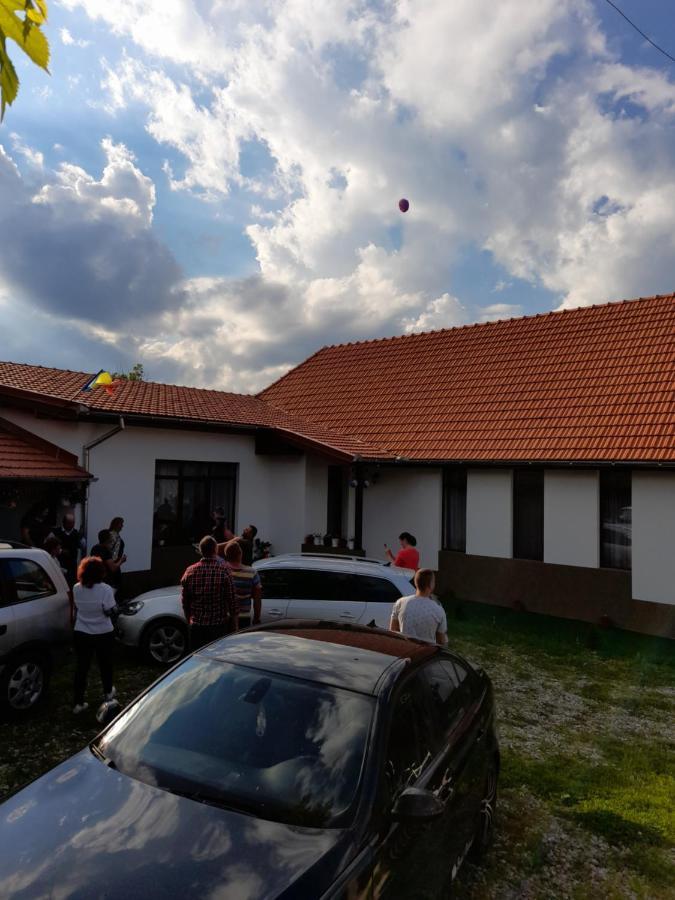 Pensiunea Narcisa Cu Ciubar Malaesti ภายนอก รูปภาพ